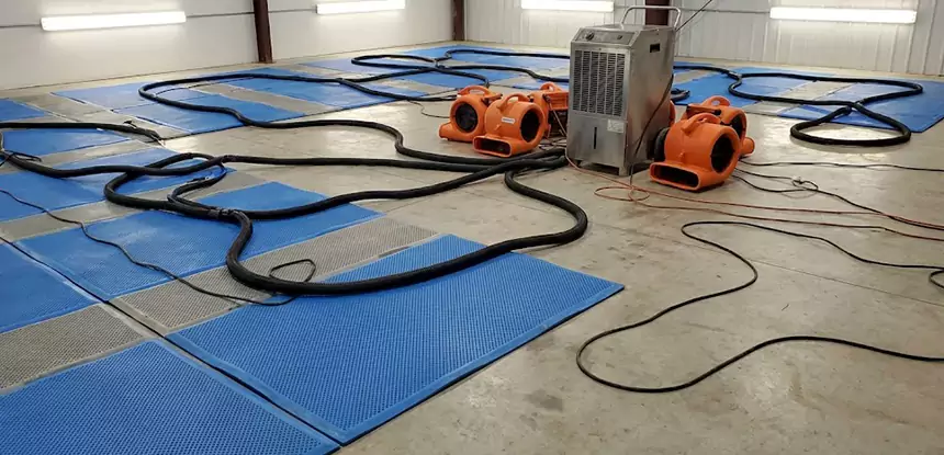 Professional Flooded Carpet Drying Services in Pendergrass, GA